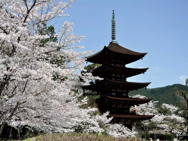 国宝瑠璃光寺五重塔