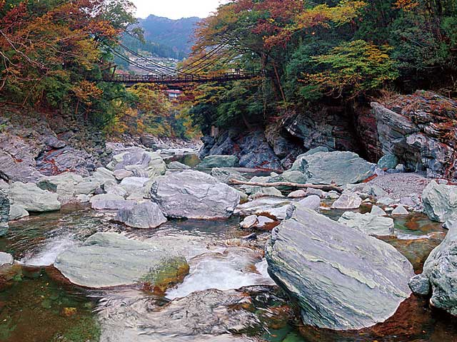 祖谷のかずら橋