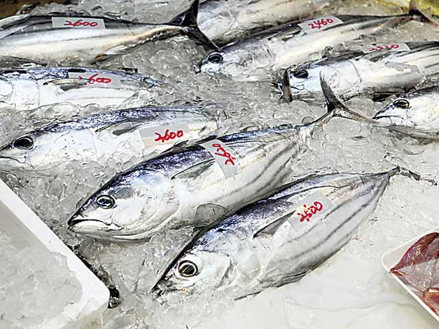 久礼大正町市場