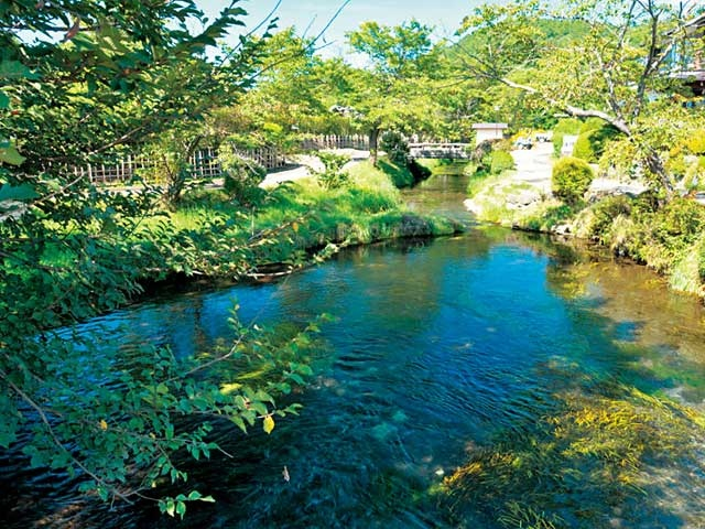 【山中湖エリアの観光スポット】忍野八海