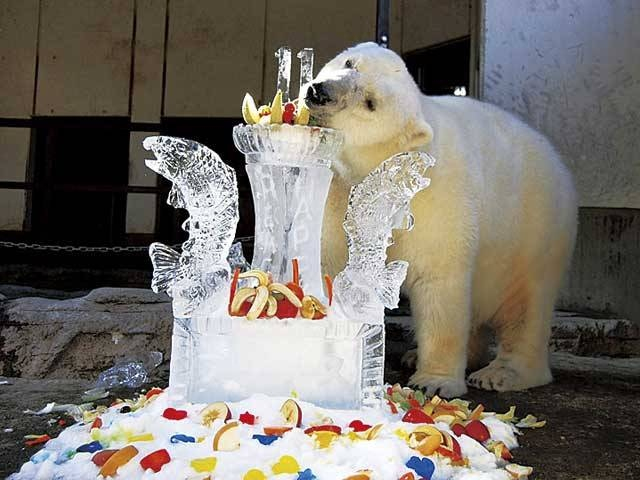 愛媛県立とべ動物園
