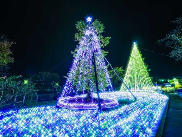 【山中湖からひと足のばして観光】時之栖