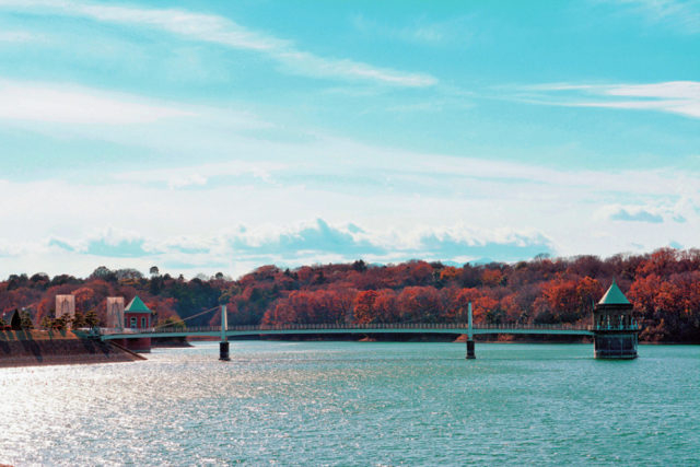 ⑥美しい景観が広がる東京都の水瓶「狭山湖」