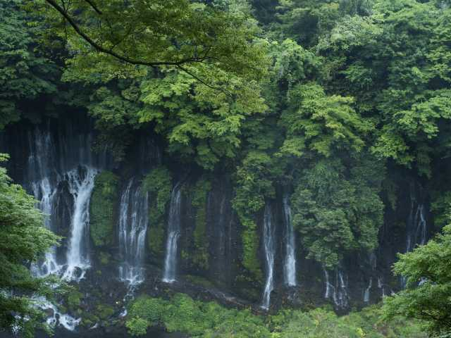 【山中湖からひと足のばして観光】白糸ノ滝