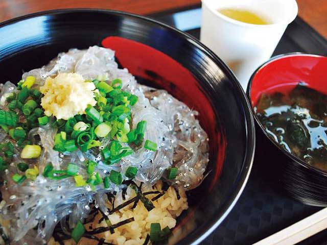 【山中湖からひと足のばして観光】田子の浦港 漁協食堂