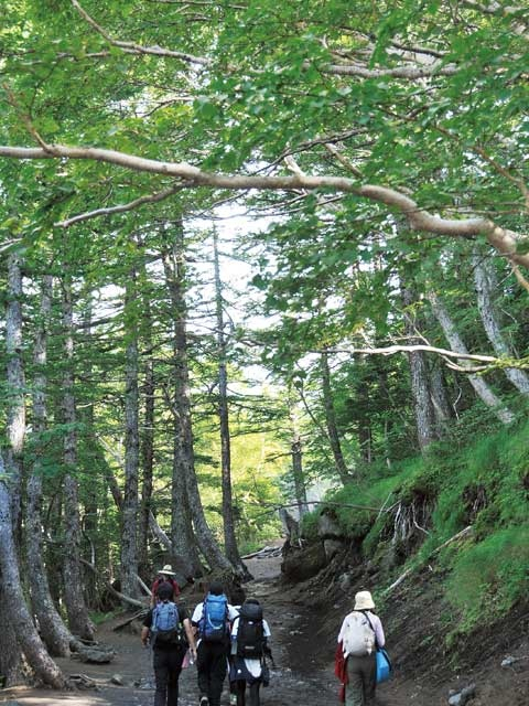 【山中湖からひと足のばして観光】富士山五合目