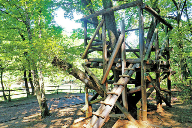 【トーベ・ヤンソンあけぼの子どもの森公園×探索ルート】②樹上の家