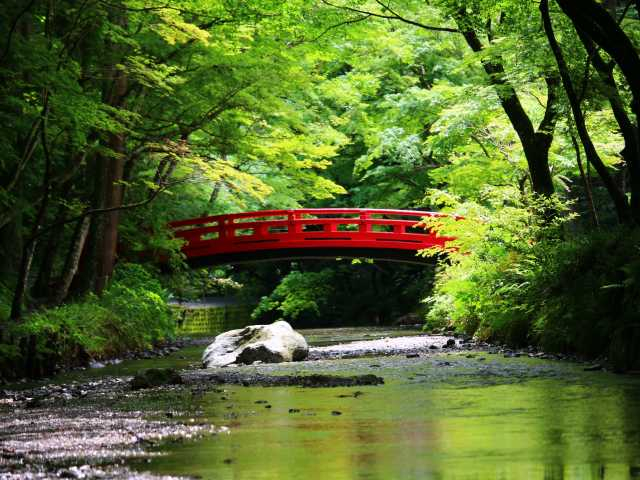 【6位】小國神社