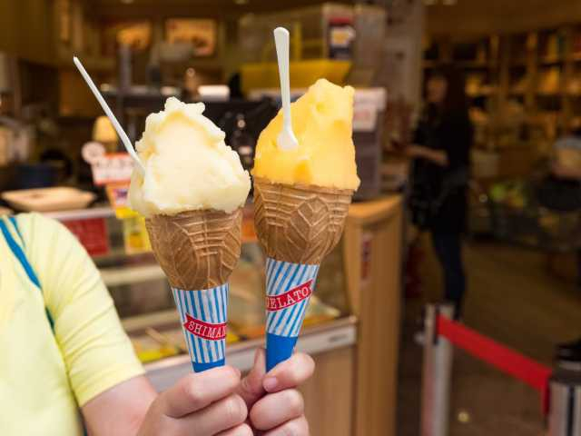 えひめ果実倶楽部 みかんの木 ハイカラ通り店