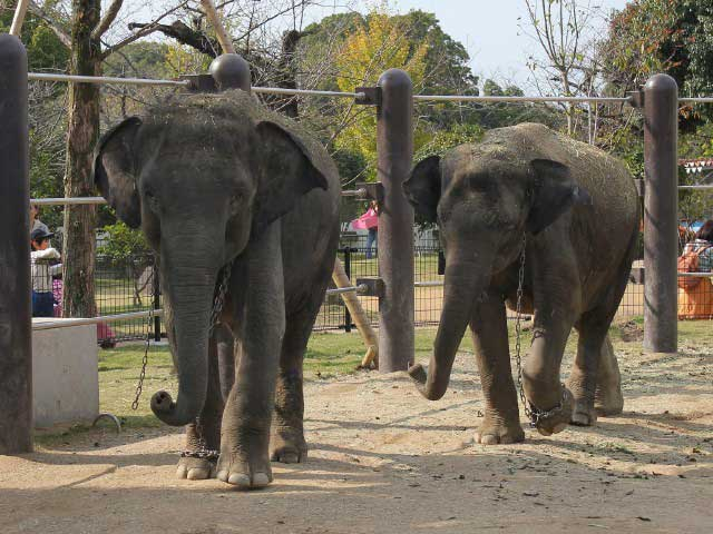 周南市徳山動物園