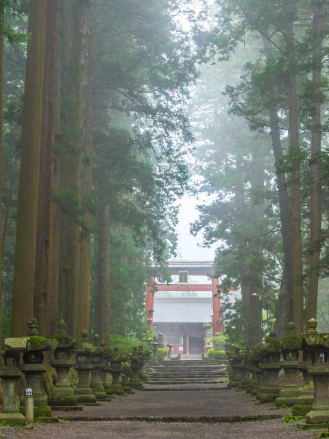 【山中湖からひと足のばして観光】北口本宮冨士浅間神社