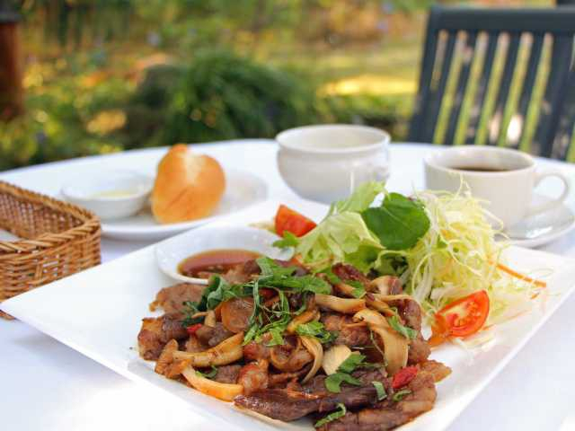 高知県立牧野植物園