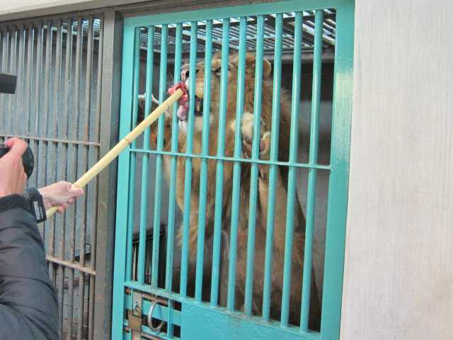 愛媛県立とべ動物園