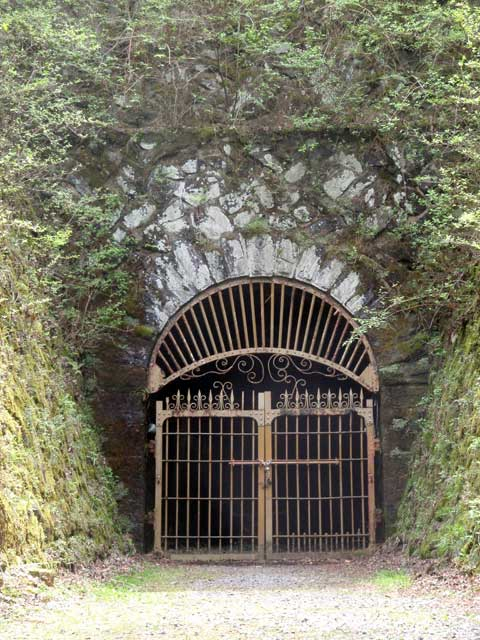 マイントピア別子・東平ゾーン