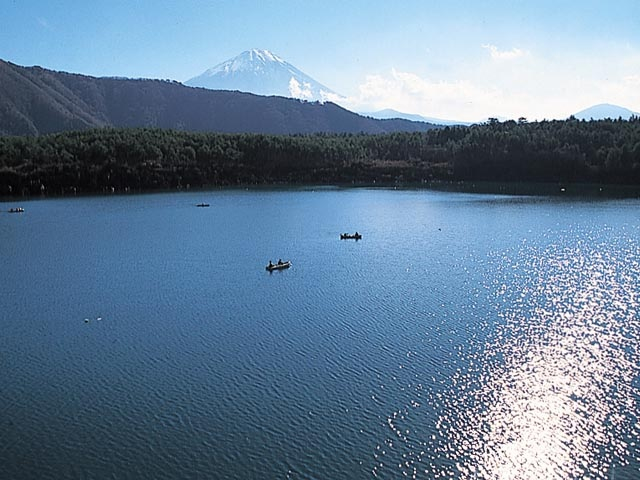 【山中湖からひと足のばして観光】西湖