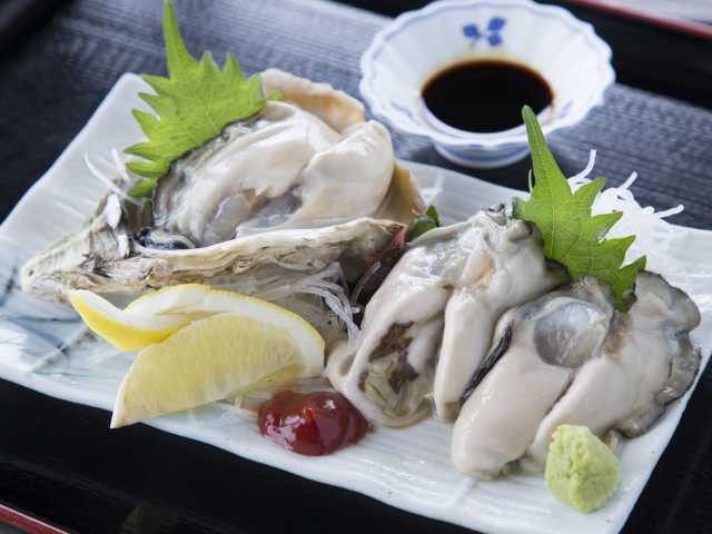 伊根湾一望の高台に建つ「道の駅 舟屋の里 伊根」