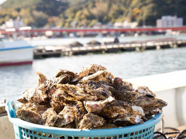 【志摩エリアからひと足のばして観光】薪で豪快に焼いたカキを心ゆくまで「浜英水産」