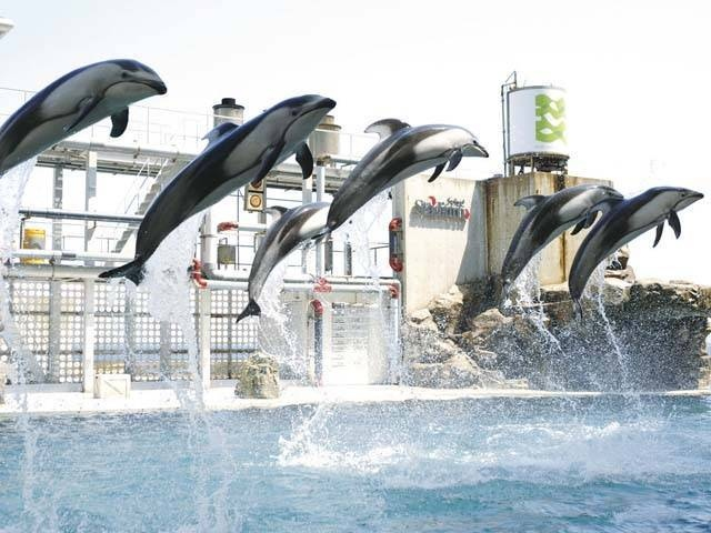 日和山海岸の体験型水族館「城崎マリンワールド」