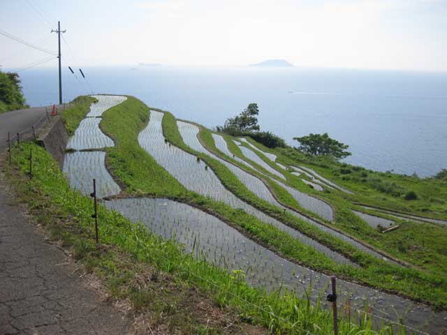 海岸線まで続く棚田が美しい「新井の棚田」