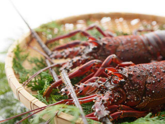 【志摩エリアからひと足のばして観光】鳥羽みやげが何でもそろう「鳥羽1番街」