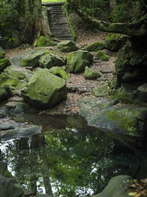 【山中湖からひと足のばして観光】白糸ノ滝