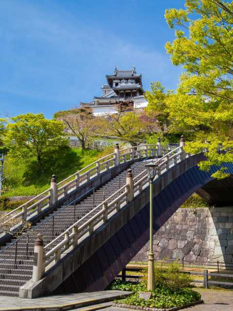 まちを見渡す福知山のシンボル「福知山城」