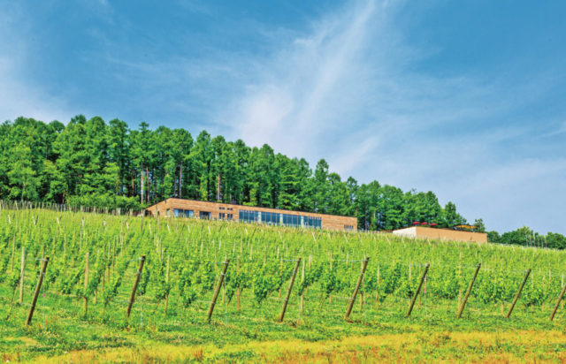 NIKI Hillsワイナリー