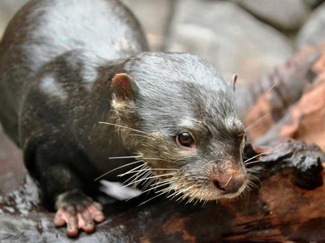 伊豆・三津シーパラダイス