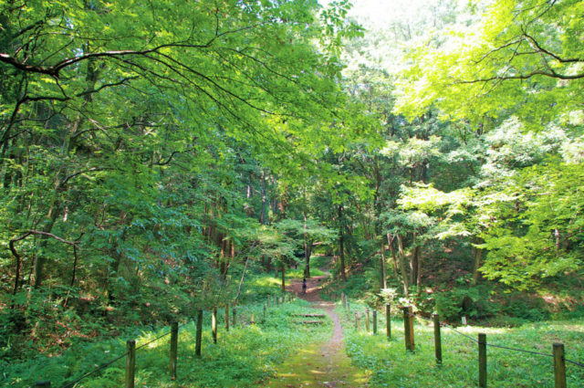 ②小さな生き物に出会える「いきものふれあいの里・虫たちの森」