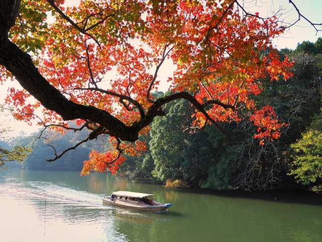 ぐるっと松江 堀川めぐり