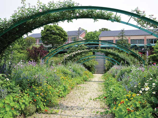 北川村「モネの庭」マルモッタン
