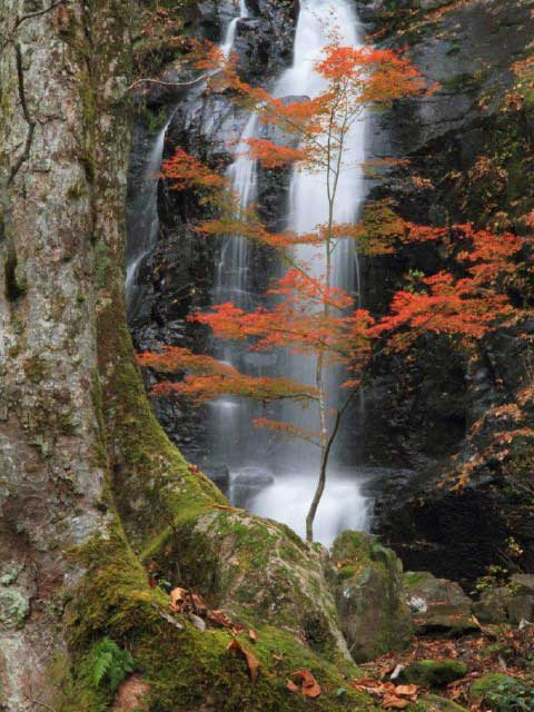 県立自然公園 宇津江四十八滝