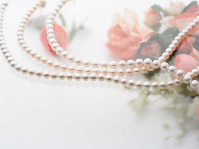 【志摩エリアからひと足のばして観光】鳥羽みやげが何でもそろう「鳥羽1番街」