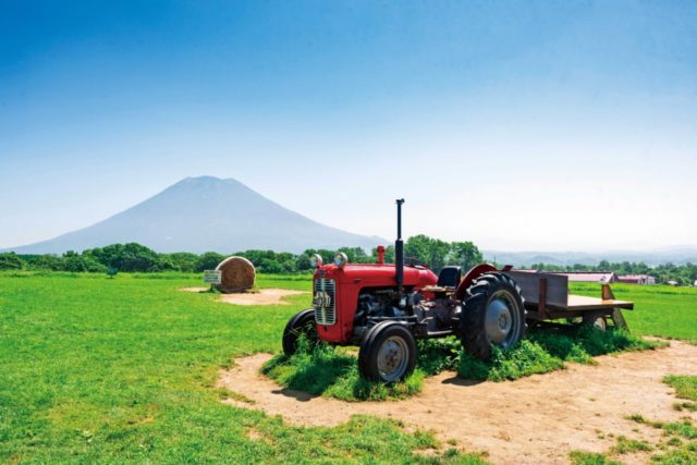 ニセコ高橋牧場 ミルク工場