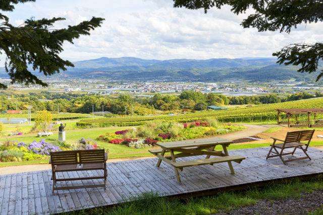 NIKI Hills ワイナリー(仁木)