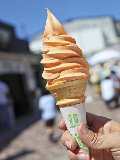 えひめ果実倶楽部 みかんの木 ハイカラ通り店