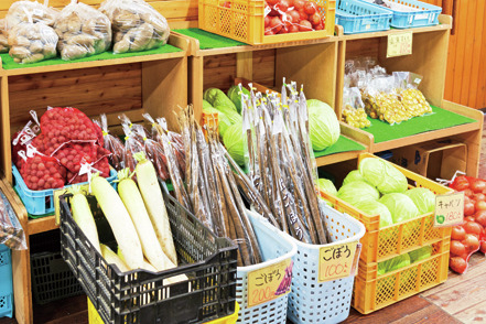 【十勝×道の駅&直売所】特産の枝豆や卵など人気の農産物が並ぶ「道の駅 なかさつない」