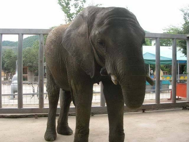 しろとり動物園