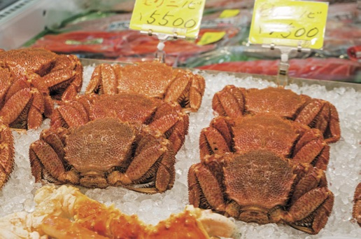 函館朝市ってどんなところ?