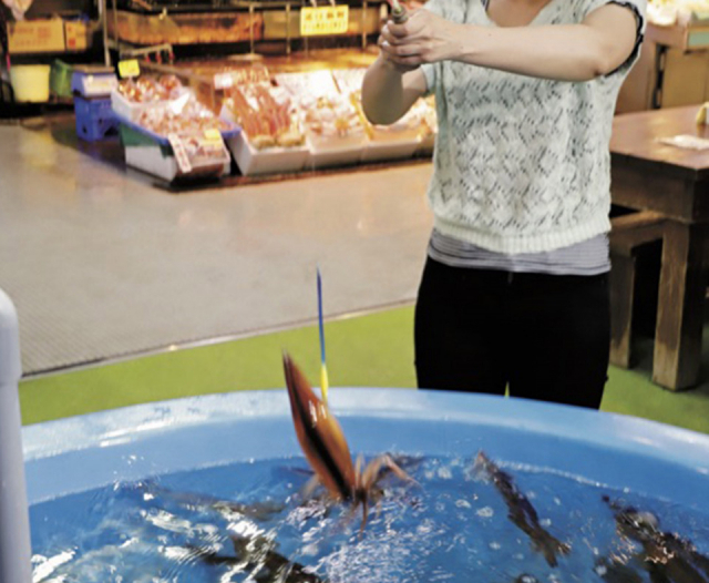 ③ イカを釣り上げる