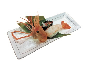 【札幌でリーズナブルな回転寿司はココ】トリトン円山店