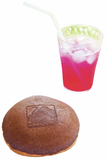 【ニセコ×ドライブ】ニセコでのびのびと暮らすダチョウに会いに行く「第二有島だちょう牧場」