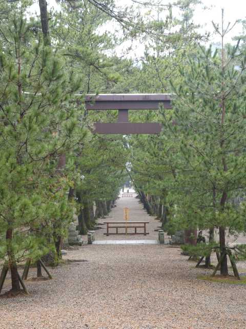 【出雲エリアのおすすめ観光スポット】平成の大遷宮で御本殿が生まれ変わった縁結びの神がおわす場所「出雲大社」