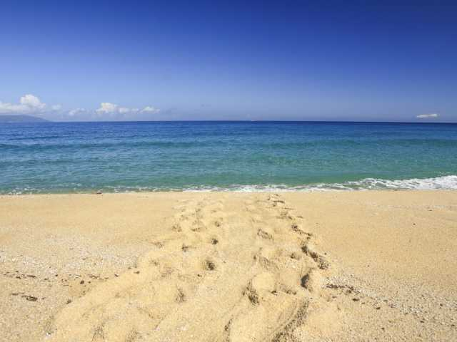 【屋久島の観光スポット】永田いなか浜