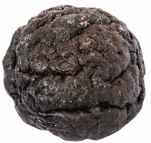 【十勝×パン】こだわりの伏流水と直接仕入れる良質な素材「パン工房カントリーブラン」