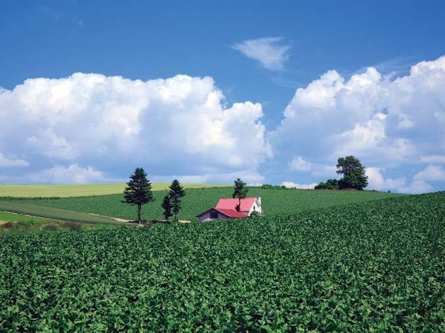 赤い屋根のある丘