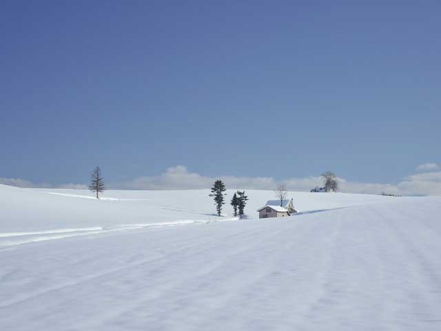 赤い屋根のある丘