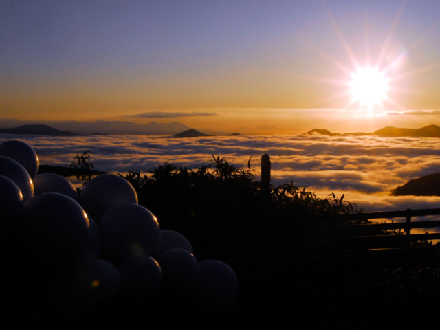 雲海テラスにはお楽しみがいっぱい!