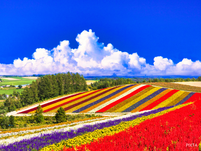 北海道でしか買えない! コンビニ・スーパーのお土産はこれだ!