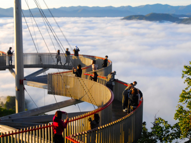 雲海テラスにはお楽しみがいっぱい!